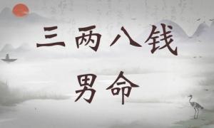 三兩八錢(qián)男命詳細(xì)解釋?zhuān)齼砂隋X(qián)男命一生命運(yùn)！