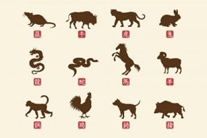 2025年開(kāi)始走大運(yùn)的生肖